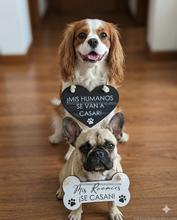Cargar imagen en el visor de la galería, Set 2 Pajecitos Impresos para Mascotas ✨
